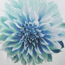 Buy ✔️ Madison Park Quinn Printed Floral Cotton Shower Curtain Aqua ⭐ 15 Buy ✔️ Madison Park Quinn Printed Floral Cotton Shower Curtain Aqua ⭐ -Madison Park Sales unnamed file 131