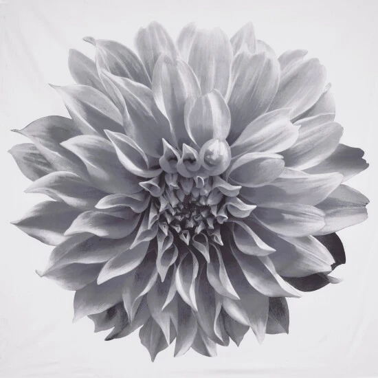 Buy ✔️ Madison Park Quinn Printed Floral Cotton Shower Curtain Aqua ⭐ 11 Buy ✔️ Madison Park Quinn Printed Floral Cotton Shower Curtain Aqua ⭐ - Image 9