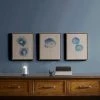 Outlet ❤️ Madison Park Blue Print Botanicals Blue Framed 3 Piece Printed Canvas On Linen ❤️ -Madison Park Sales unnamed file 2117