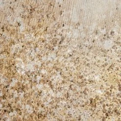 Buy ⌛ Madison Park Glimmer 100-percent Hand Brush Heavy Textured Glitz Embellished Canvas 2 Piece Set ✨ -Madison Park Sales unnamed file 4235