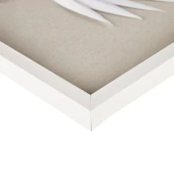 Top 10 💯 Madison Park Sabal Off White Palm Rice Paper Framed Shadow Box 3 Piece Set 🔔 -Madison Park Sales unnamed file 7